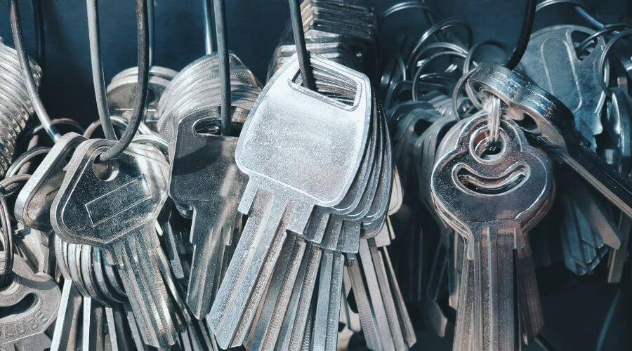 Professional gutter cleaning in Newcastle, TX